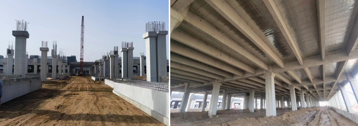 17163386417280671LS2.png 17163386417280671LS2.png