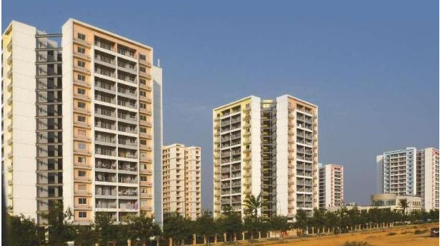 1729643913567207NgiD.png 1729643913567207NgiD.png