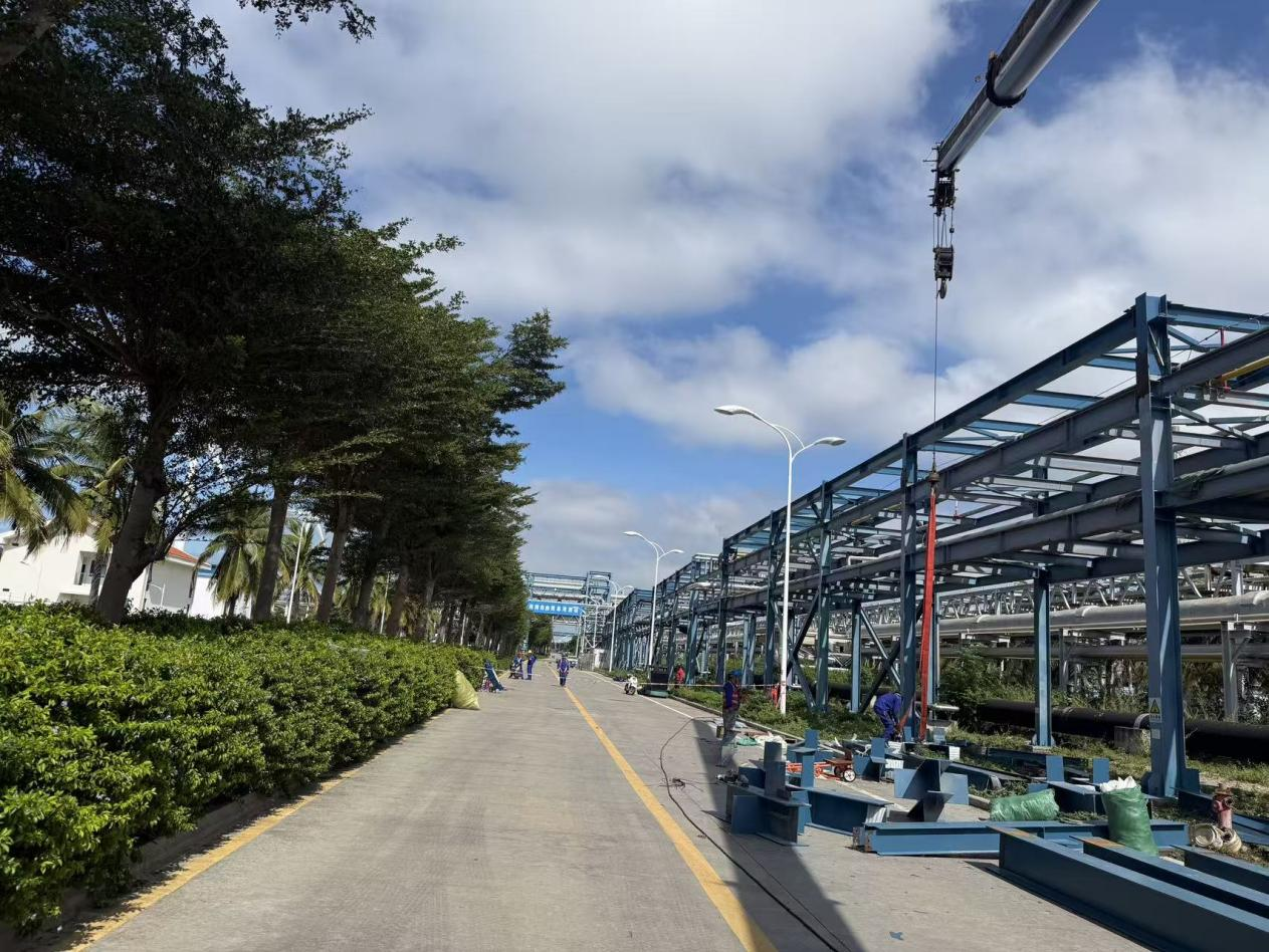 1763340032267094Mmyu.png 1763340032267094Mmyu.png